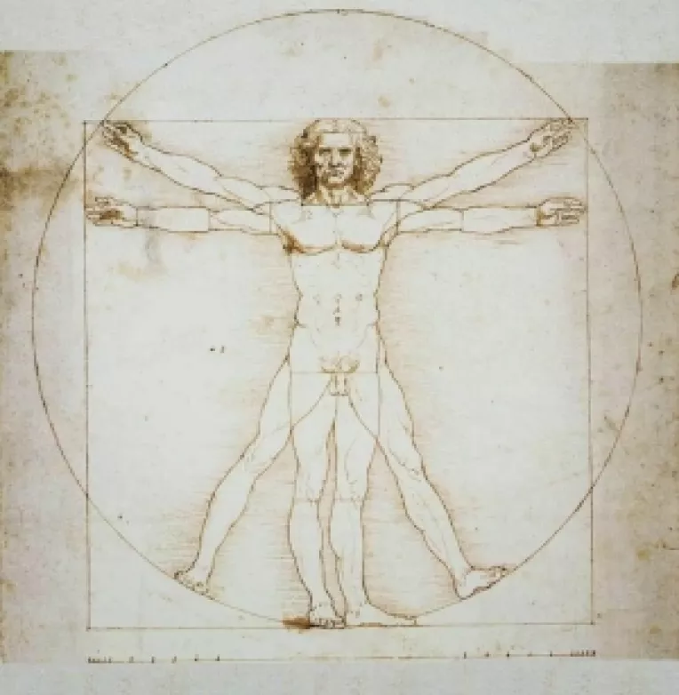 Corpul uman, puntea de legatura cu realitatea