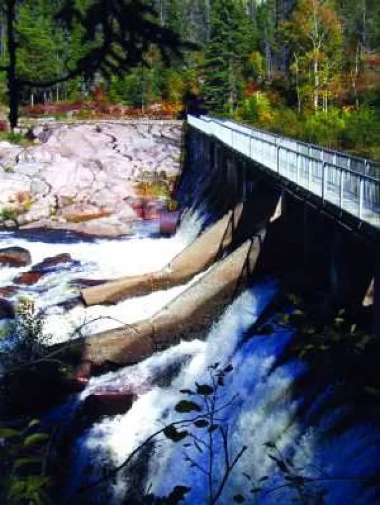 Hidroelectrica a vandut 16 microocentrale