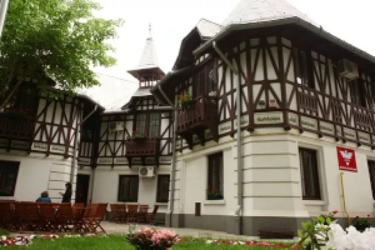 Poante a la Ponta: Basescu in curtea din spate a PSD, Alina Gorghiu-Dej in biroul lui Basescu din Modrogan, Tariceanu in biroul USL al lui Crin, Ciolos in biroul lui Boc, Iohannis in biroul lui Iliescu